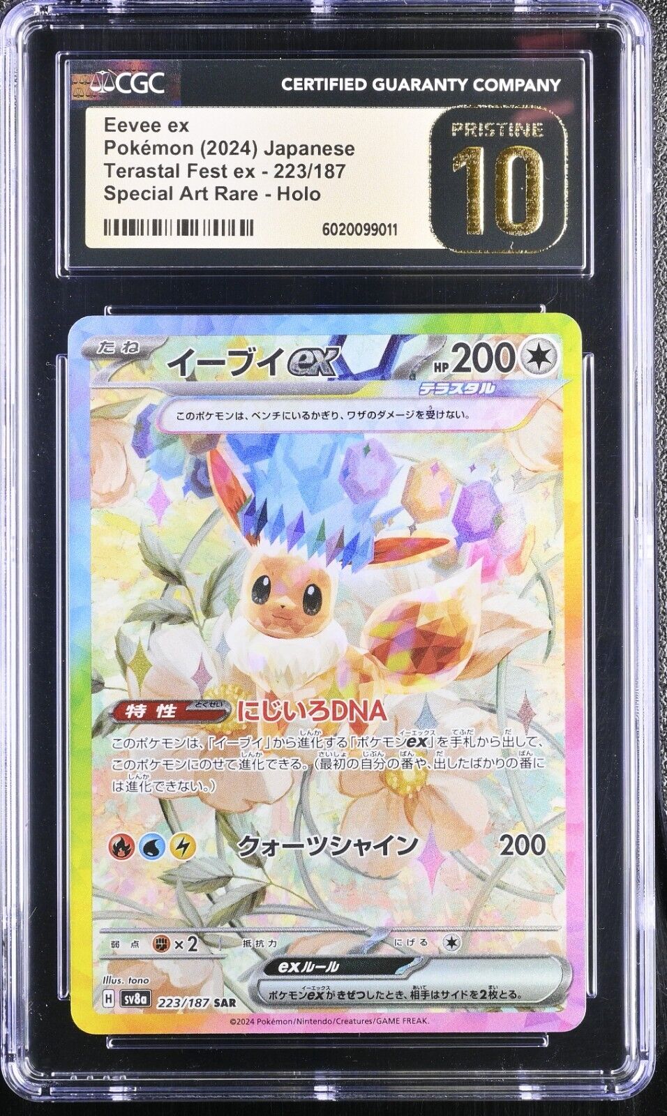 CGC 10 PRISTINE Eevee ex SAR 223 Terastal Festival sv8a Pokemon Card Japanese